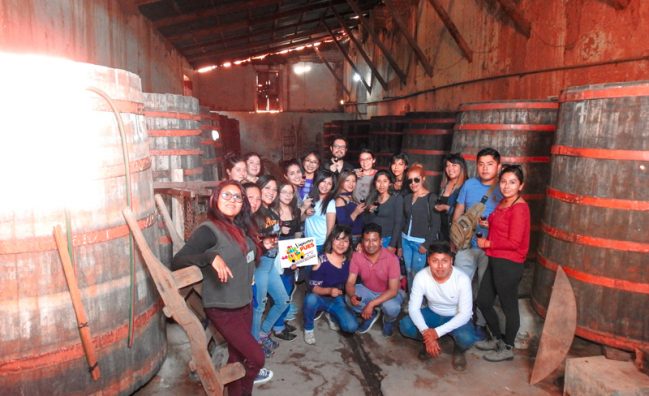 Luribay – Vinos y Singanis – 2 Días 1 Noche
