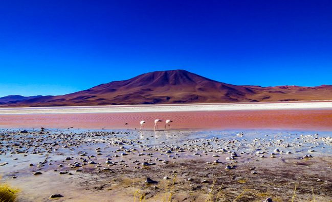 Salar de Uyuni – 3 Días 2 Noches