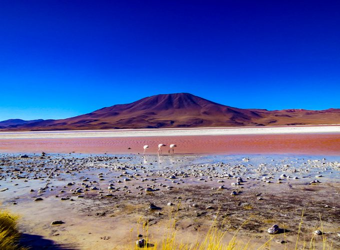 Salar de Uyuni – 3 Días 2 Noches